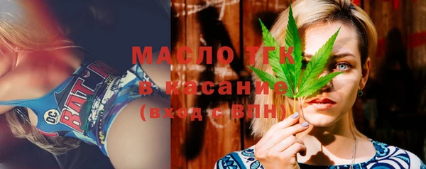 дмт Ельня