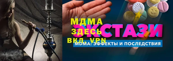 дмт Ельня