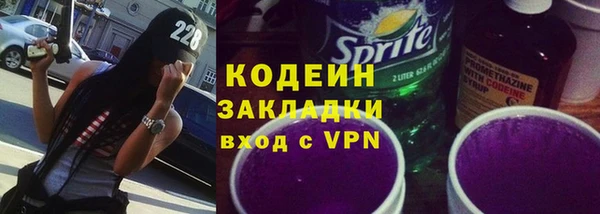 дмт Ельня