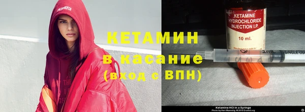 дмт Ельня