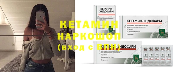 дмт Ельня