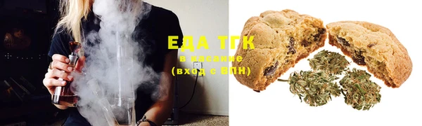 дмт Ельня
