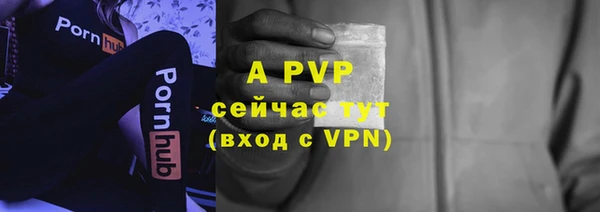 дмт Ельня