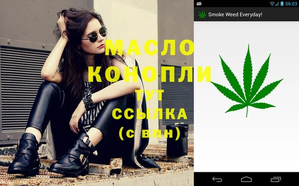дмт Ельня