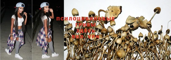 метадон Елабуга