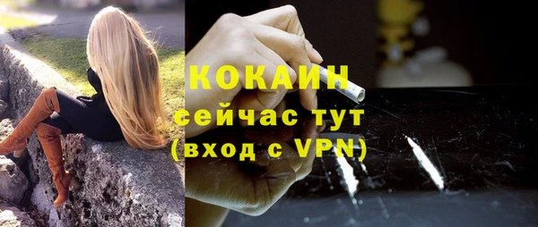 дмт Ельня