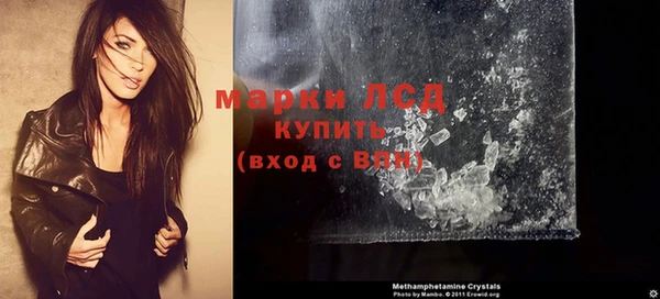 дмт Ельня