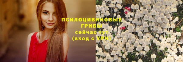 метадон Елабуга